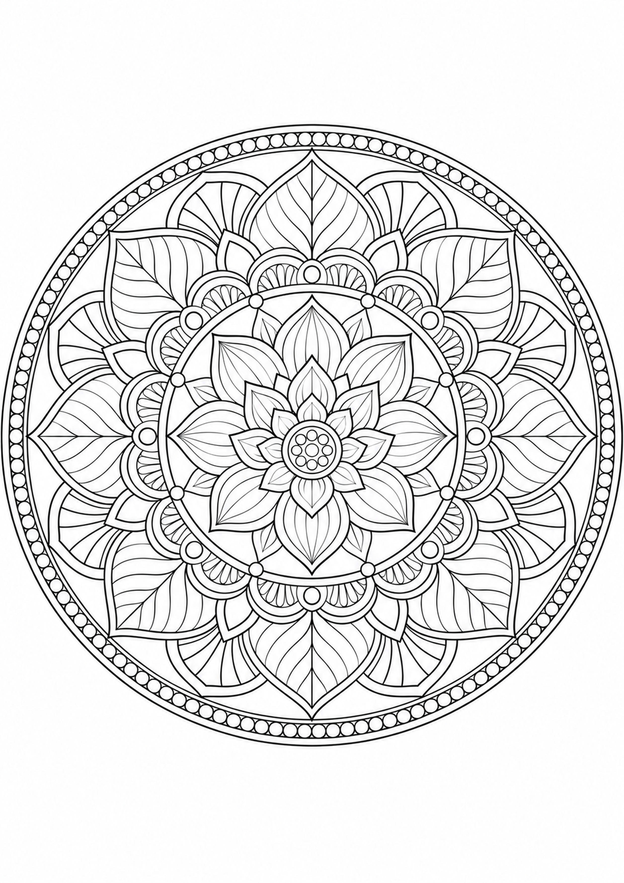 Lotus e folhas sobrepostas