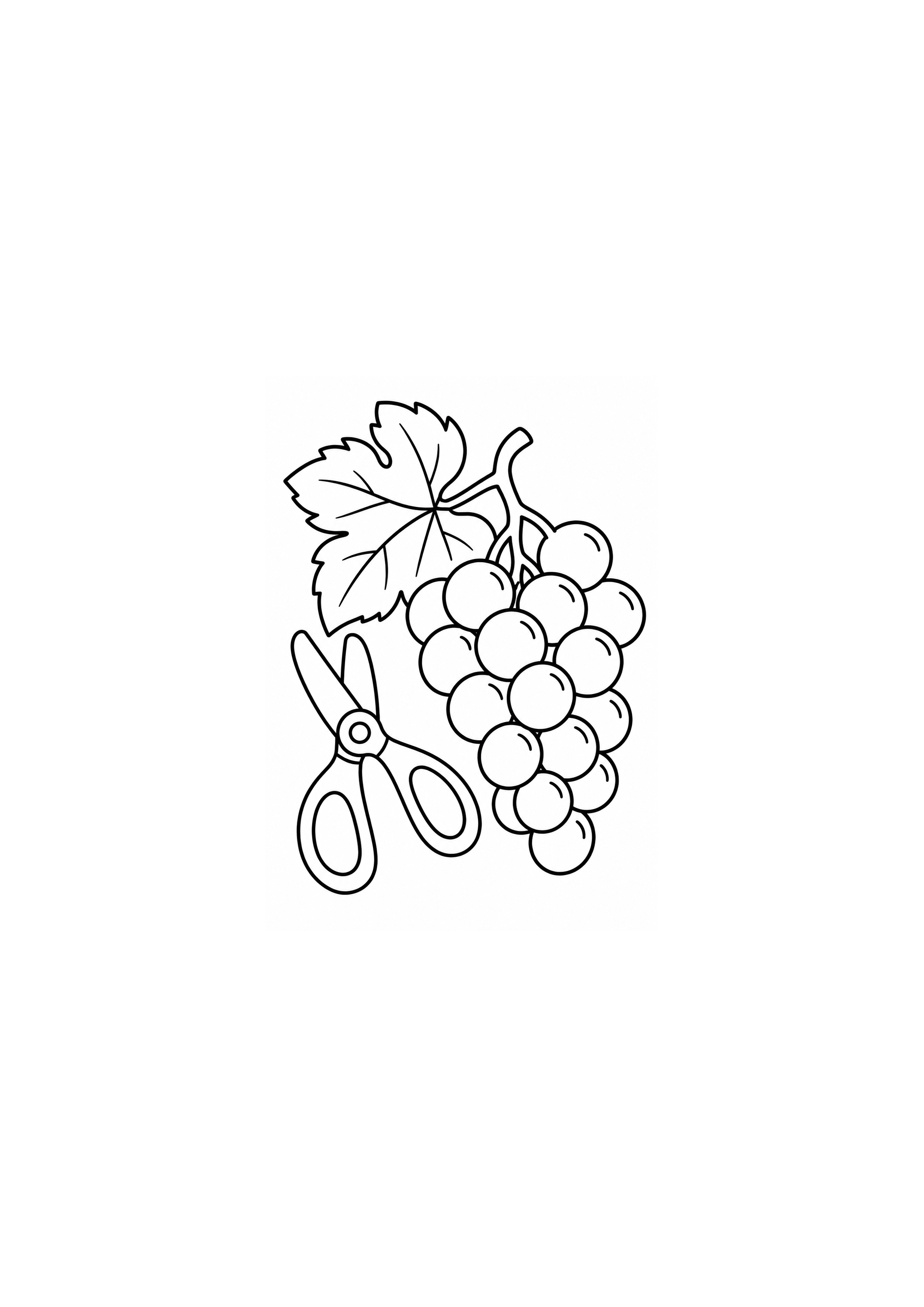 Tesoura e cacho de uvas